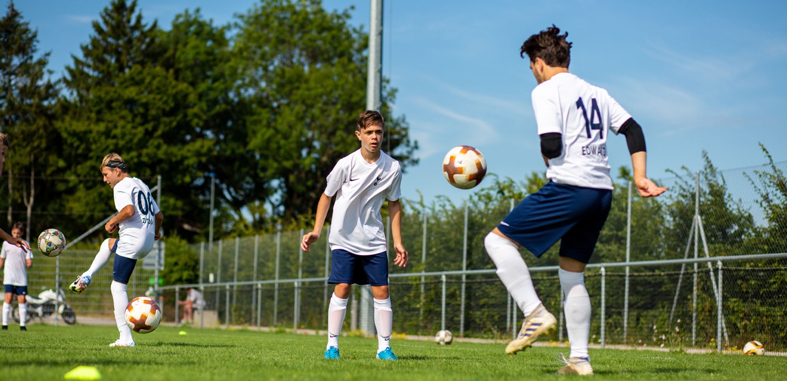 Open image in gallery